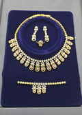 RoyalSet Gold Plating Set