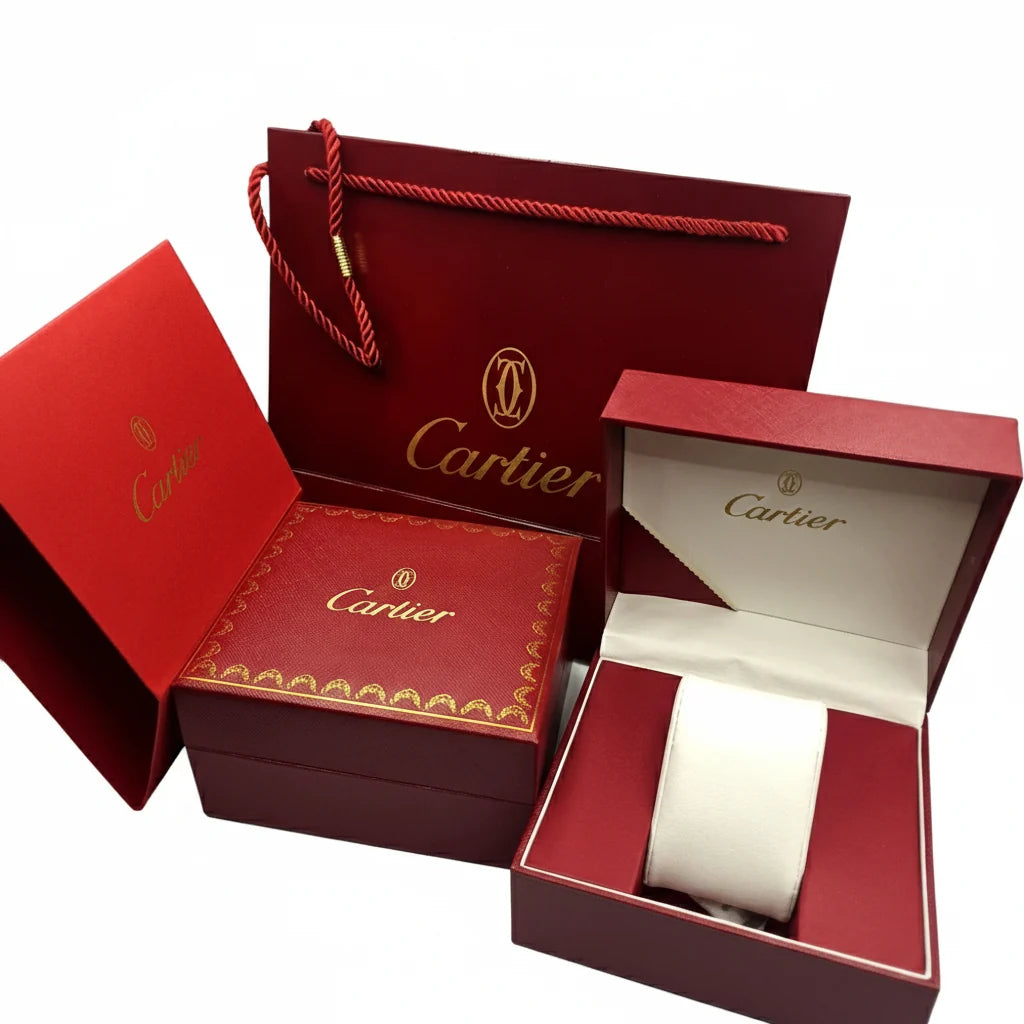 Cartier Santos – Classic Roman Dial Steel Watch