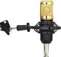 Microphone Set